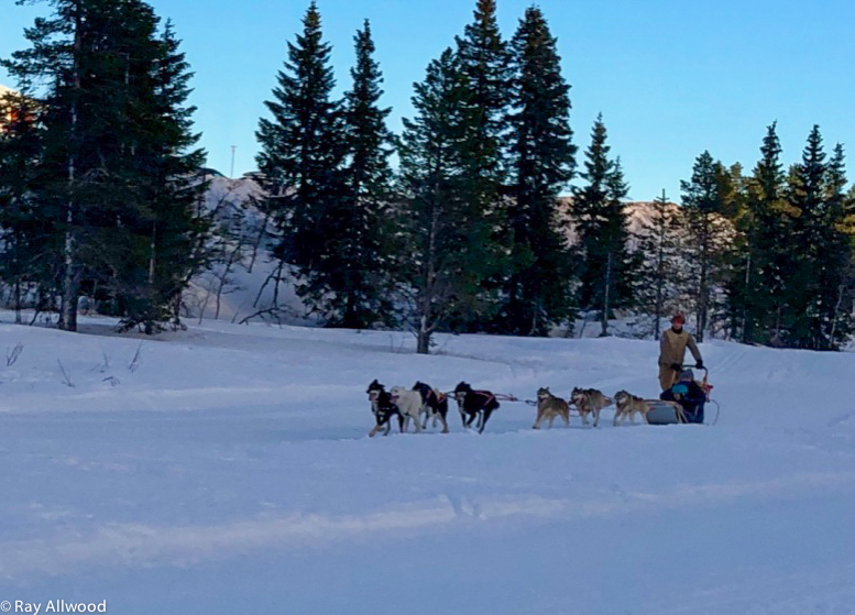 Dogsledding is also possible